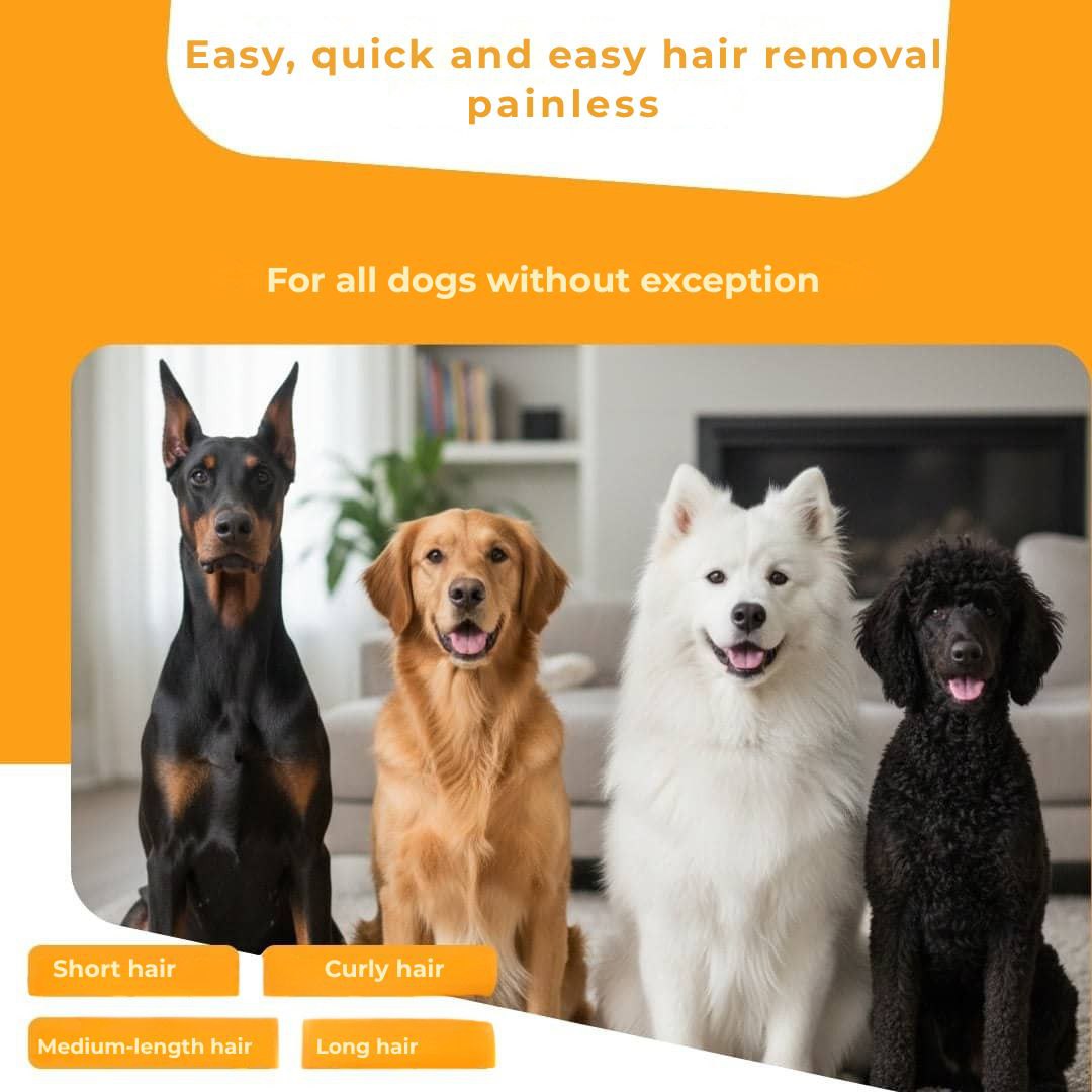 Dog brush