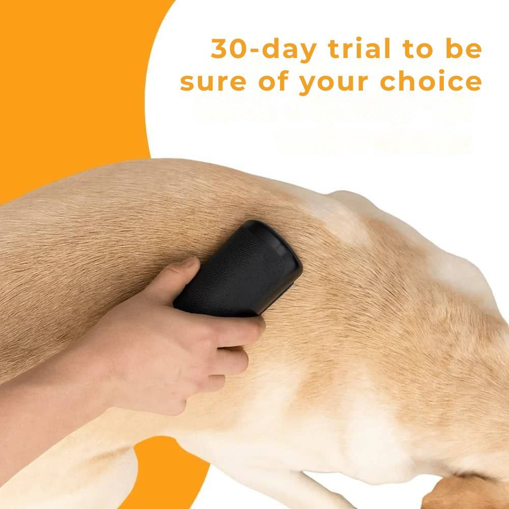 Dog brush