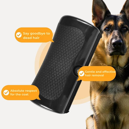 Dog brush